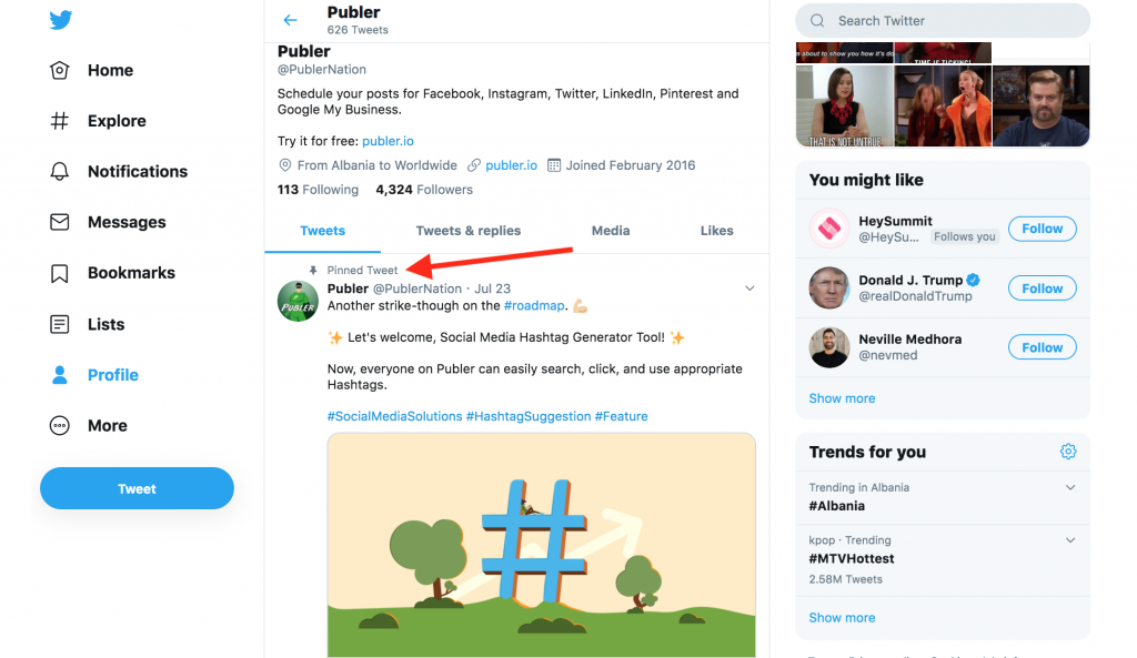 This screenshot was taken from Publer's profile on Twitter and it is showing a pinned Tweet.