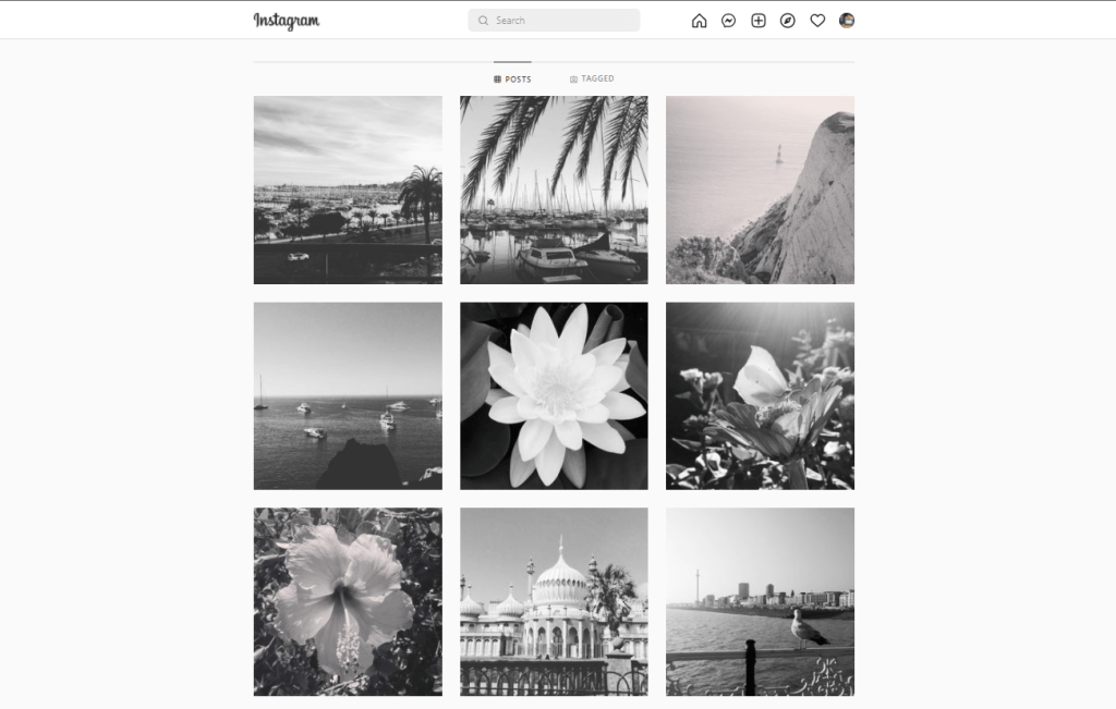 black and white instagram